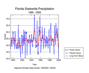 Florida Statewide Precipitation, 1895-2000