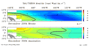 December Equatorial Pacific Zonal Wind Anomalies