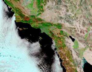 MODIS 1 km image of Southern California burn scars from 31 October 2007