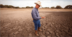 Photo of Drought in Beeville, Texas in February 2009