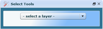 Select Tools Window
