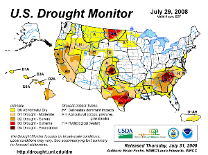 U.S. Drought Monitor map from 29 July 2008