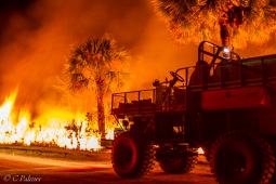 Huckabee fire burned in Florida's cypress swamp in late March 2013 Huckabee fire burned in Florida's cypress swamp in late March 2013