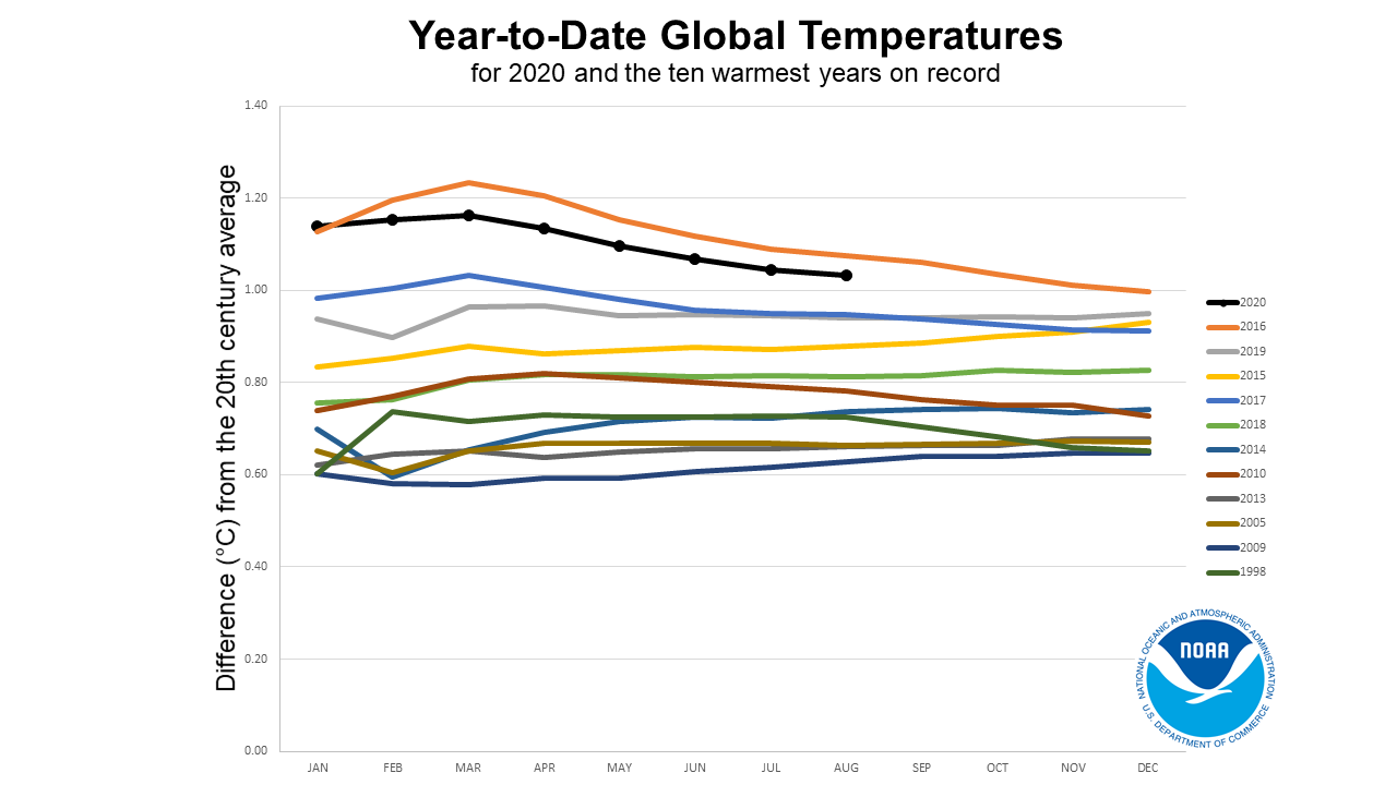 ytd-horserace-202008.png