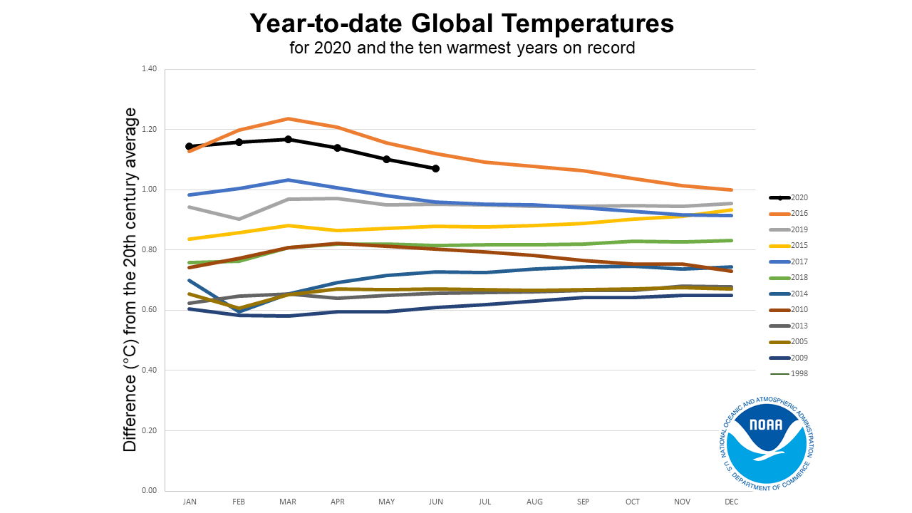 ytd-horserace-202006.png