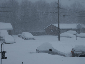 Photograph of heavy snowfalling near Taunton, MA on January 23, 2005