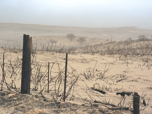 Photograph of fire-ravaged area of Gray County, Texas in early March 2006 Photograph of fire-ravaged area of Gray County, Texas in early March 2006