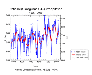 National Precipitation Timeseries