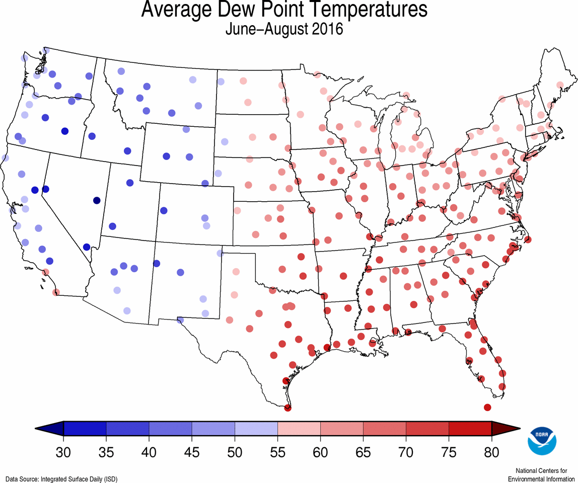 Summer dew point map for 2016 (humidity, United States, South, winter) Weather Temperature
