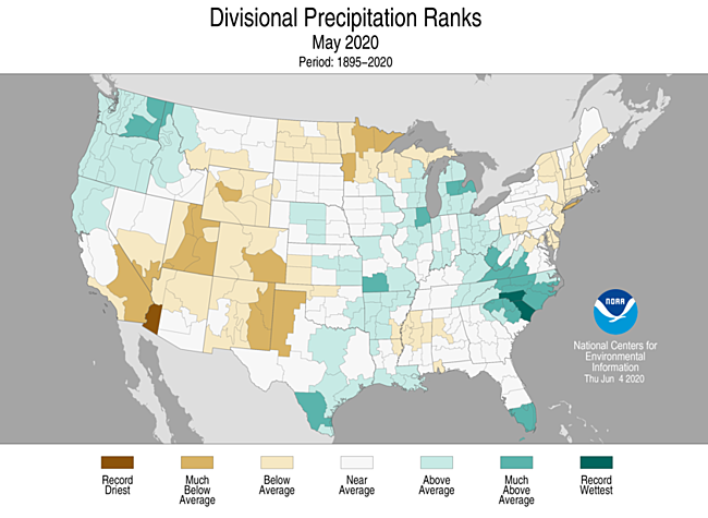 1-Month Divisional Precipitation Ranks