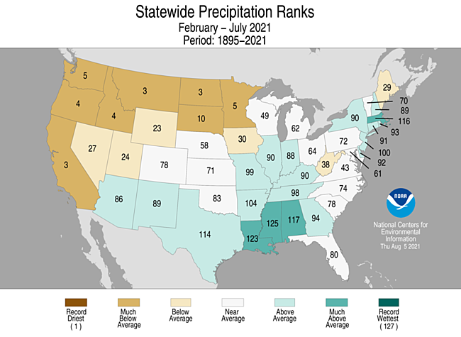 February - July 2021 Statewide Precipitation Ranks