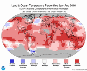 January-August Blended Land and Sea Surface Temperature Percentiles