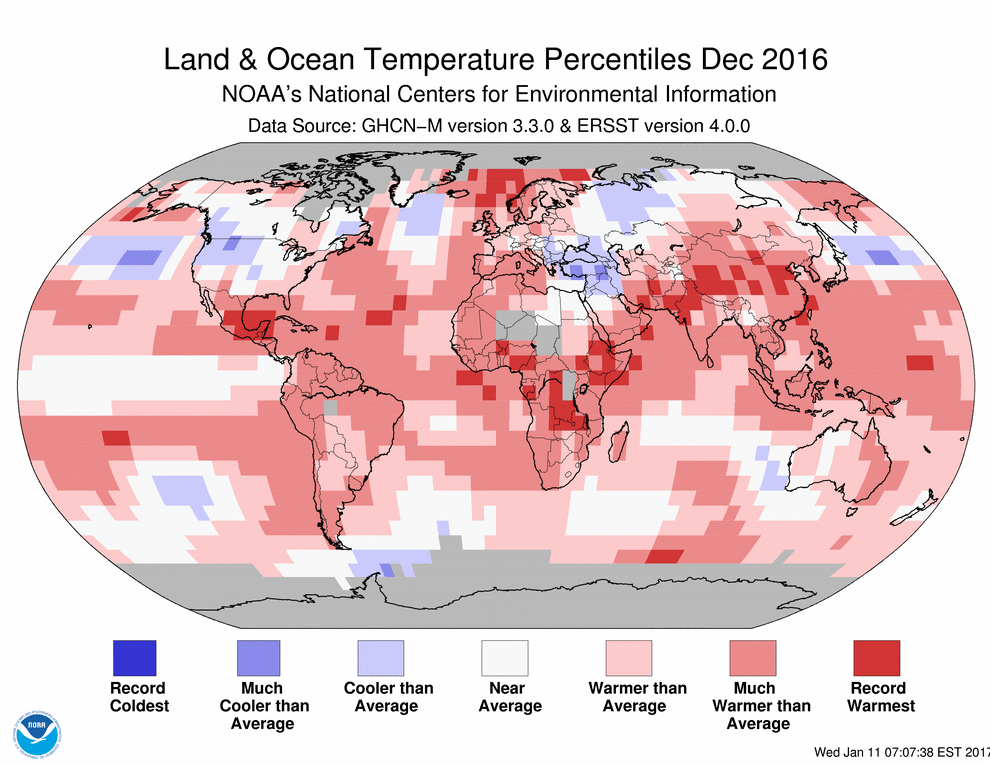 Map showing land and ocean temperature percentiles for December 2016, from NOAA's National Centers for Environmental Information, data source: GHCN-M 3.0.0 and ERSST version 4.0.0. Coverage is nearly complete from 60° south to 66° north latitude.